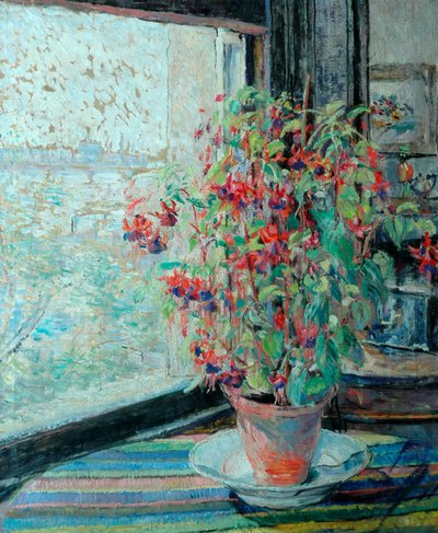 Fuchsias by Louise Pickard